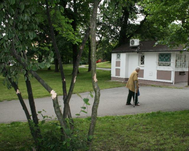 vandal (1)